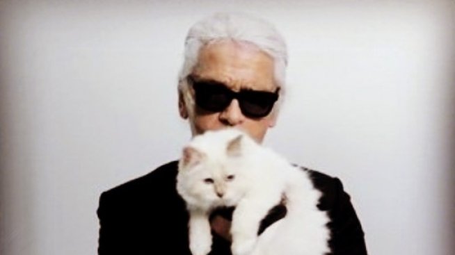 След смъртта на Лагерфелд: Каква ще е съдбата на неговата котка?