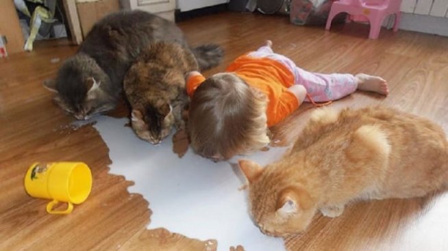 Ето защо не бива да оставяте децата сами и за минута!