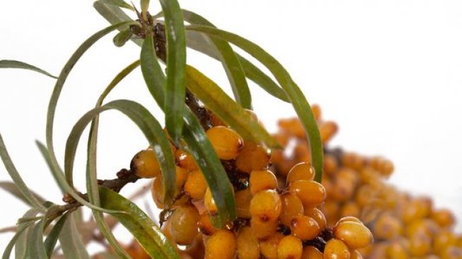 Силна, здрава и красива есен