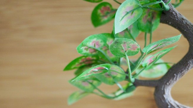 На какво ухае домът ви?