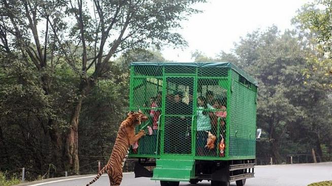 Зоологическа градина само за смелчаци