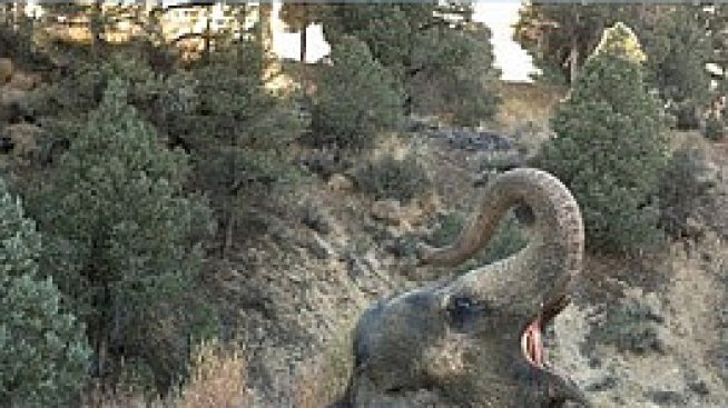 Най-големите тъпотии, които вършим, за да впечатлим жените 2