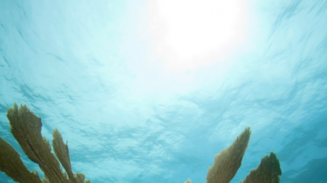 Подводният музей в Канкун