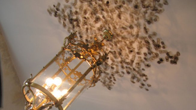 Френски огнен бунт