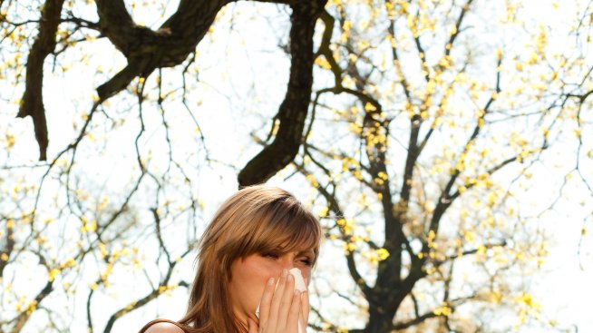 Каква е връзката между пролетната сенна хрема и зимните температури