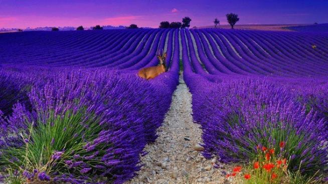 10 от най-колоритните места на Земята