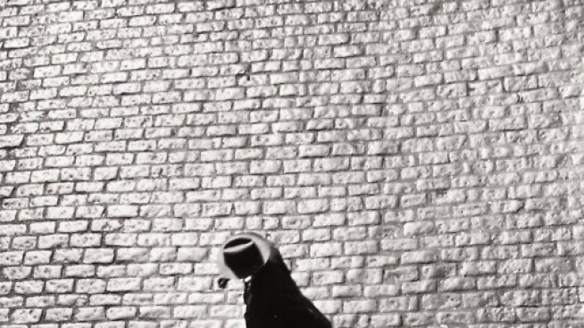 Най-голямата лъжа, изричана от ВСИЧКИ