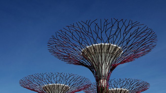 Флорална красота на „Южния залив“ в Сингапур