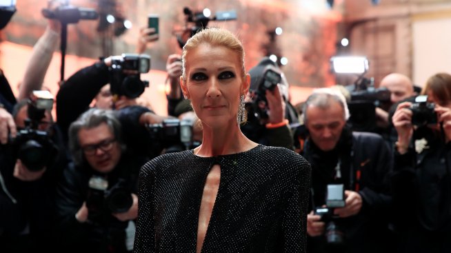 Селин Дион прекъсна концерт, изчака фен да отиде до WC