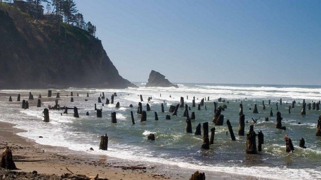 Призрачната древна гора в Нескоуин
