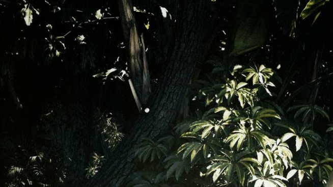 Как да имате стегнат корем като на Чарлийз Терон