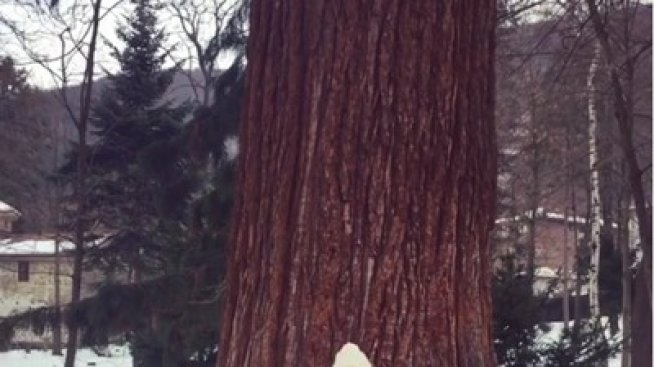 Никол в Instagram: Праща любов от България