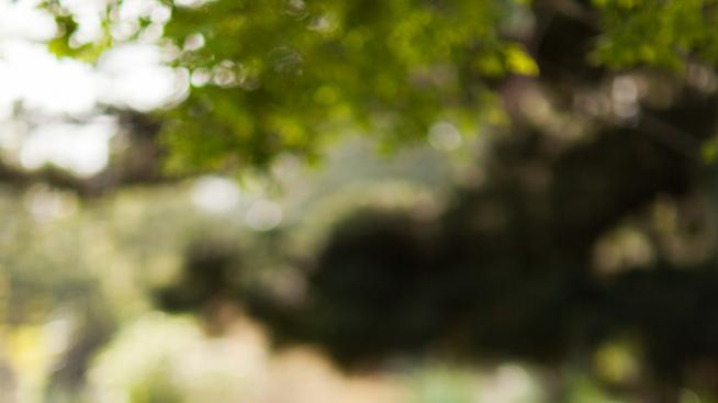 Медитация срещу грип и настинка