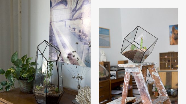 Елегантни терариуми внасят свежест в модерния дом