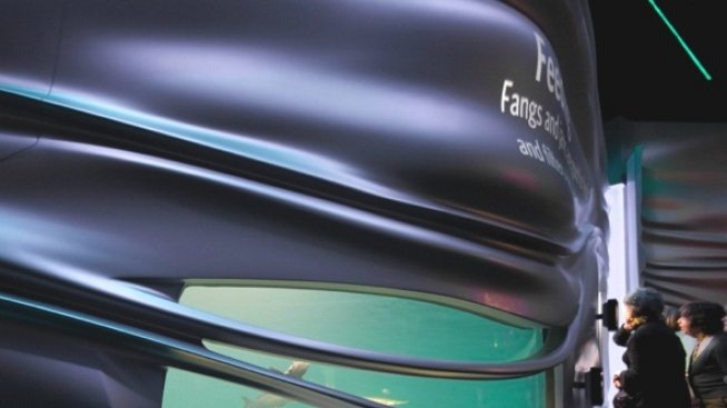 Водната планета, Сан Франциско