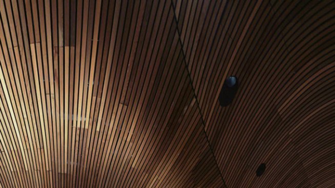 С любов към дървото