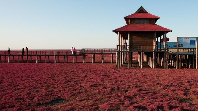 Червеният плаж в Панджин