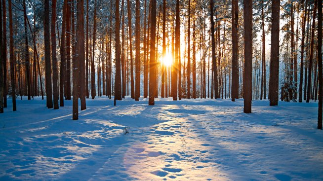 Хороскопът ви за 1 декември