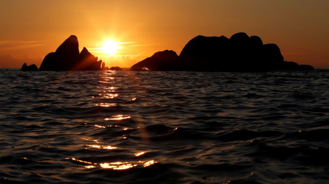 Дневен хороскоп за 11 август