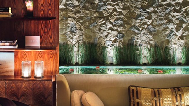 Дневните на звездите