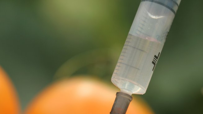 По какъв начин вредят генномодифицираните храни?