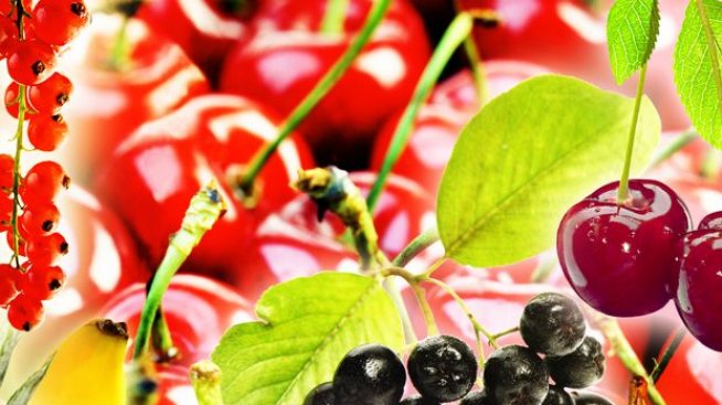 Суперплодове за вашия организъм