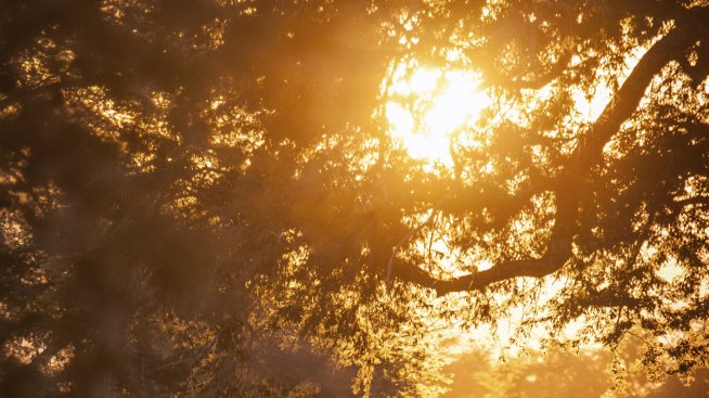 Интересни факти за Зимбабве – част втора