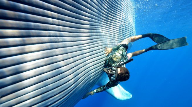 Уникално морско преживяване в Кралство Тонга