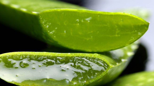 Как ни помага алое верата?