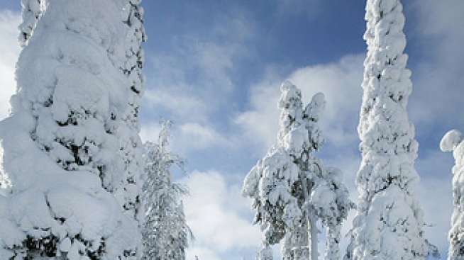 Зимно приключение Лапландия