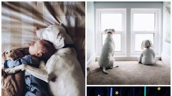 Любов ли бе да я фотографираш: Нора и Арчи