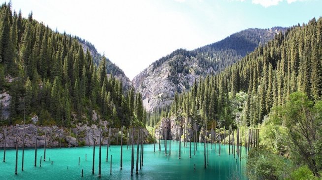 Потъналата гора в Казахстан