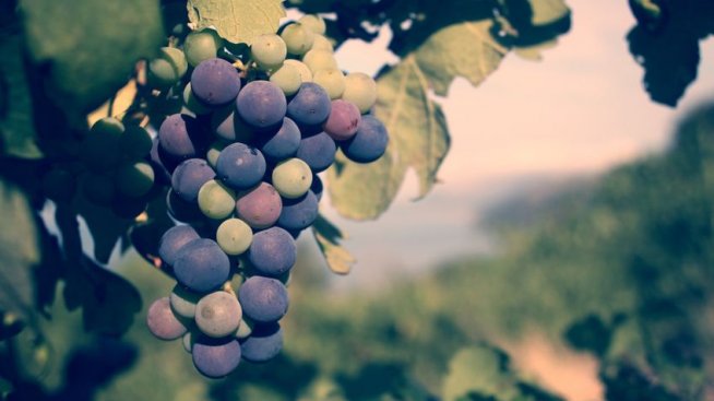 5 храни, които трябва да консумирате с обелките