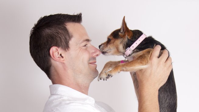 Защо трябва да се срещате с мъж с куче