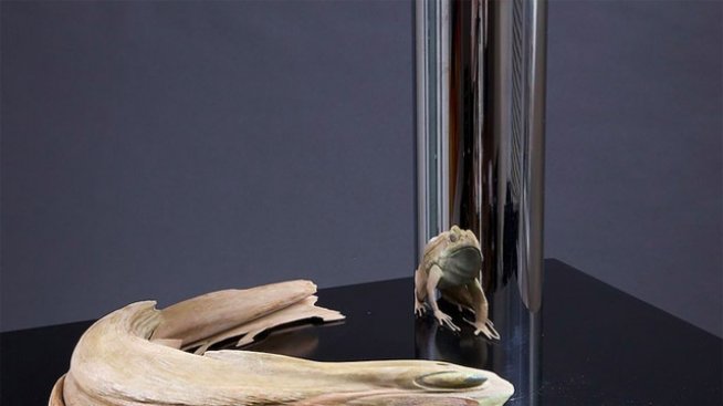 Геометрични оптични илюзии