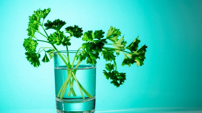 Вода от кориандър за отслабване