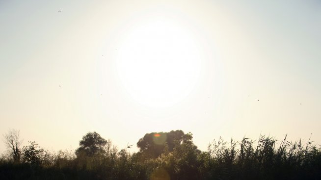 Емоционално интелигентни ли сте (тест)