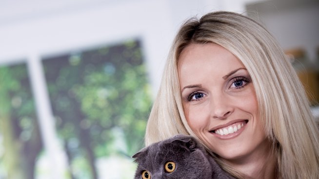 Почти всички хора приемат котката си като член от семейството