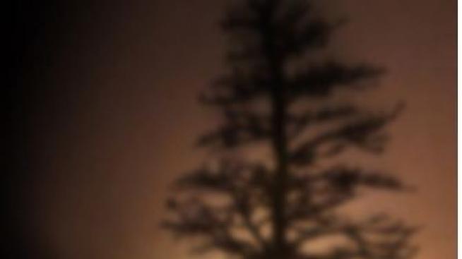 Елха в стил "направи си сам'