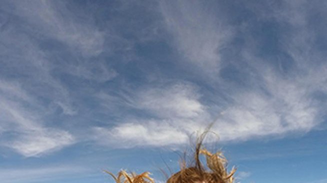 Перфектната връзка: Авантюристката