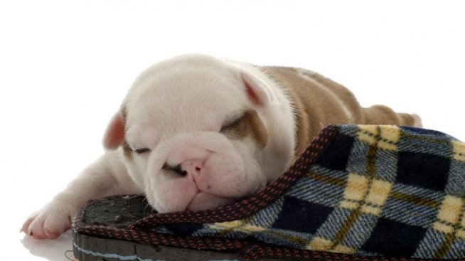 Как да отслабвате, докато се размотавате в свободното си време?