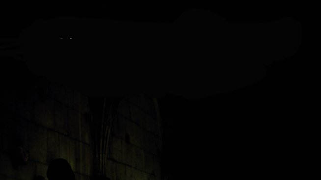 Черната педагогика