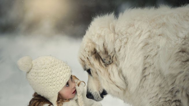 Деца и кучета – любов от пръв поглед