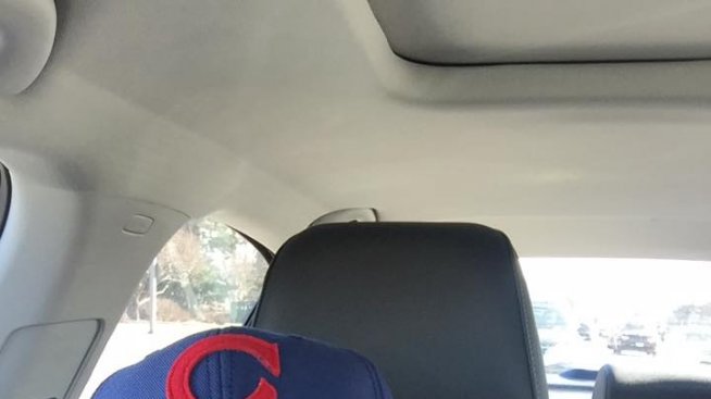 Бедствие на седмицата: Мишо Шамара и говедата