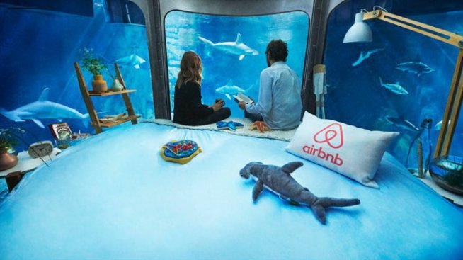 Да спиш с акулите