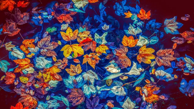 Хороскопът ви за 17 ноември