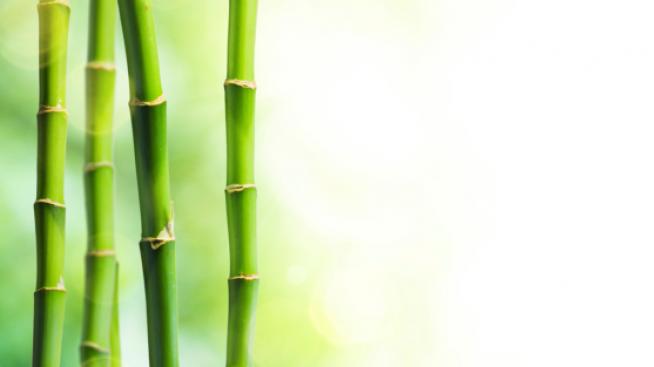 Бамбук в козметиката