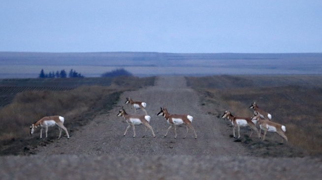 Уилоу Крик – граничният пункт между САЩ и Канада