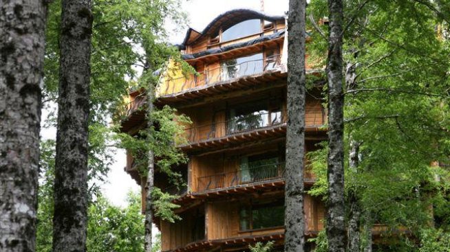 Хотел „Баобаб“ - насред чилийската гора