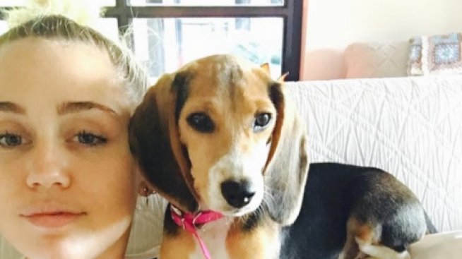 Майли пак изтрещя, татуира си буркан